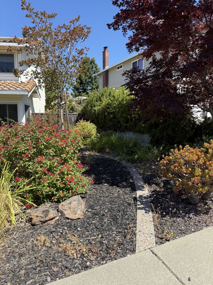 All Photos for CBA Landscaping in Hayward, CA