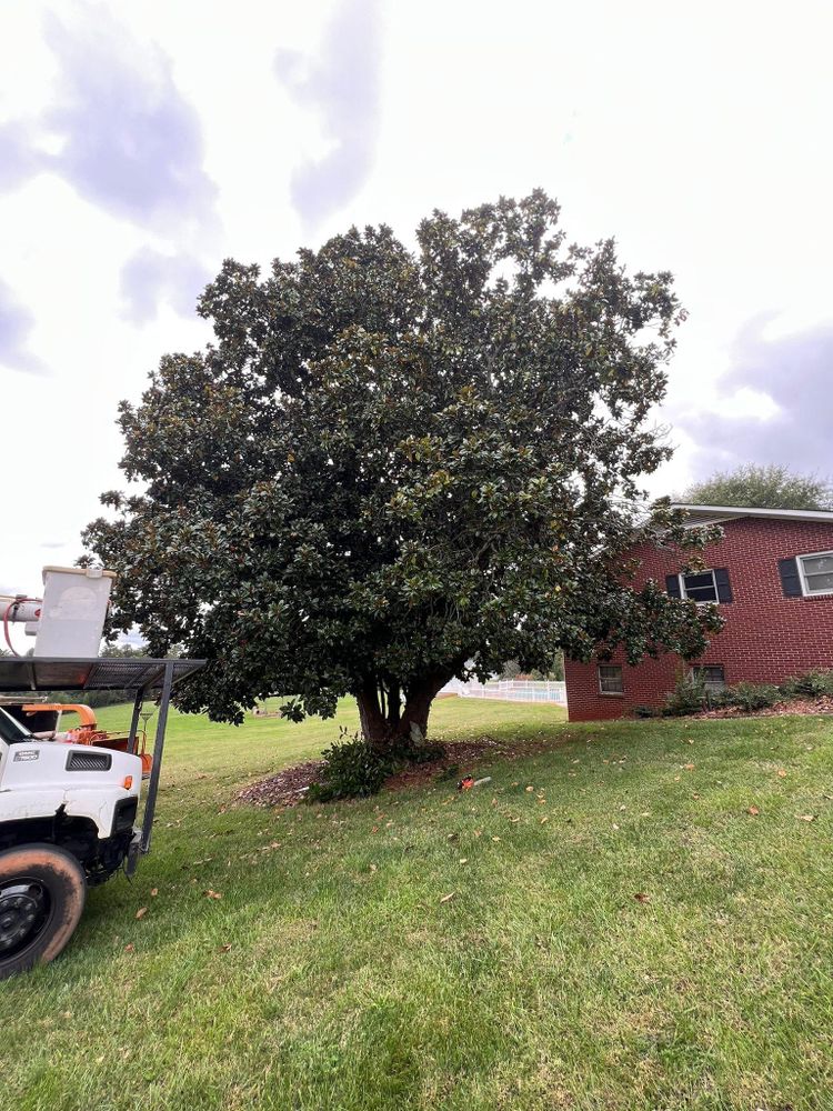 All Photos for Brooks Tree Service, LLC in Casar, NC