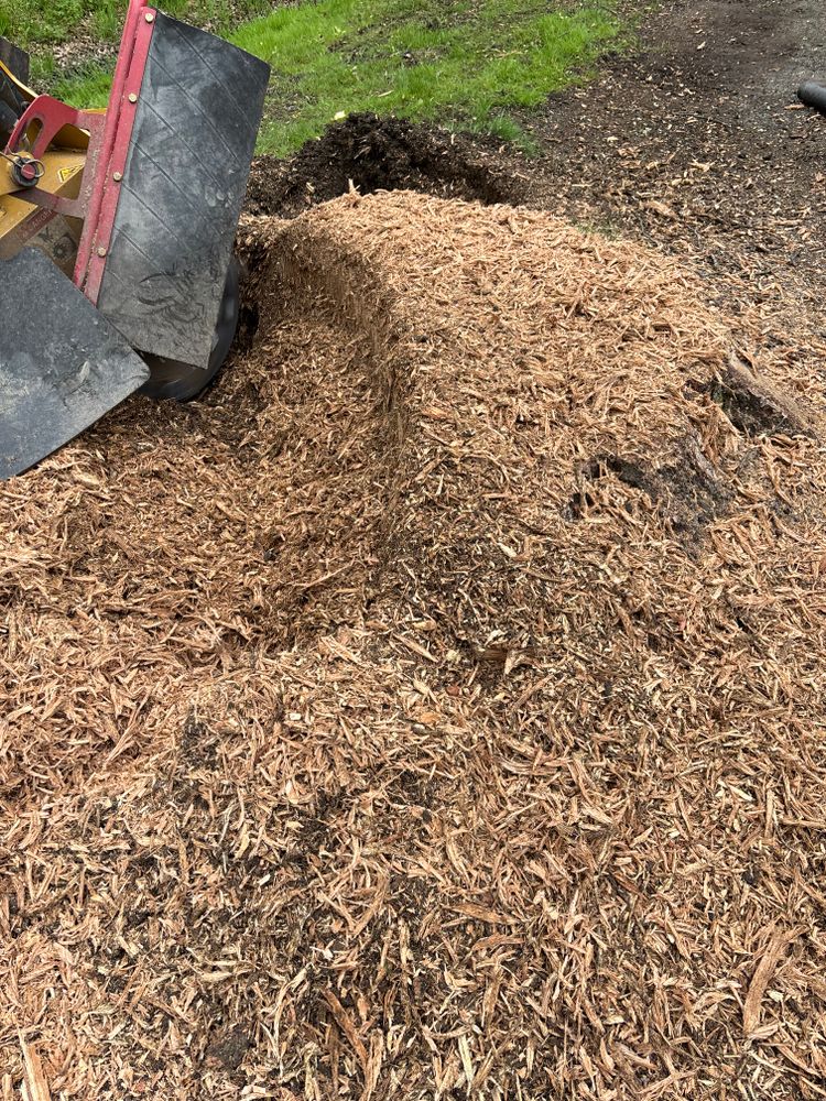 All Photos for Dean's Stump Removal in Youngstown, OH
