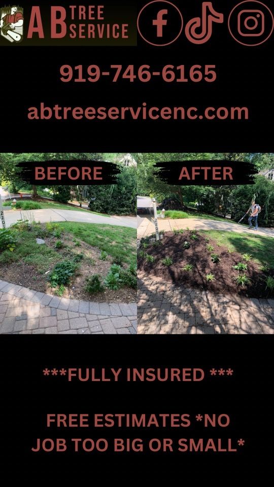 All Photos for AB Tree Service in Raleigh, NC