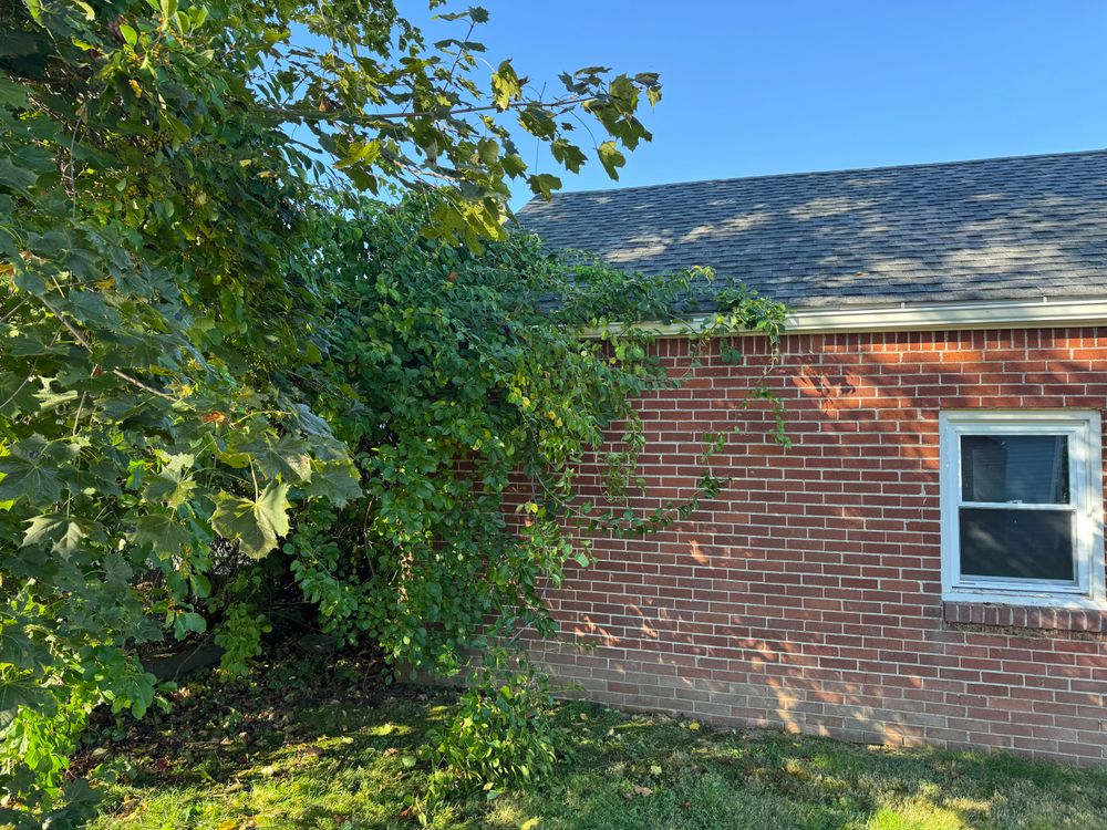 All Photos for Adams Landscaping in Springfield, MA