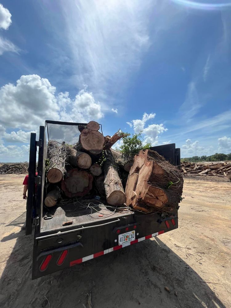 Tree Trimming and Removal for McGraw’s Lawn and Tree Service in DeLand, FL