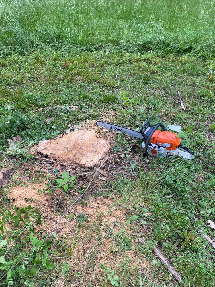 All Photos for Houtz Tree Service in Lexington, KY