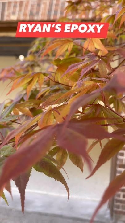 All Photos for Ryan's Epoxy in Rockwall, TX