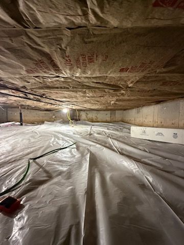 Other Services for Immaculate Concrete and Construction in Troy, IL