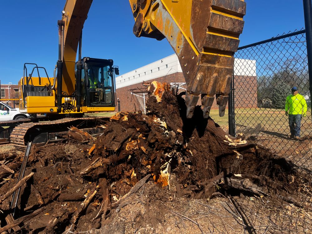 All Photos for Urban Lawn & Landscape in Oklahoma City, OK