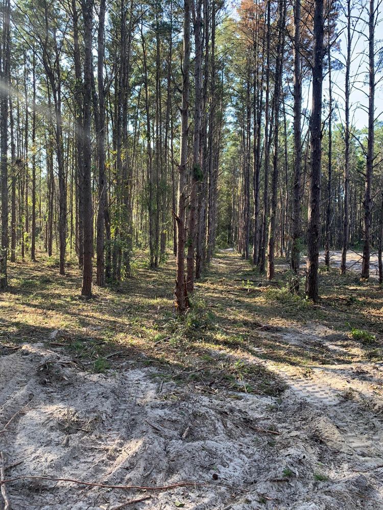 Our Forestry Mulching service efficiently clears overgrown land, transforming it into usable space while preserving topsoil health. It’s an eco-friendly solution perfect for enhancing property aesthetics and preparing sites for future projects. for Wilson’s Excavation & Land Clearing in Greenville, FL