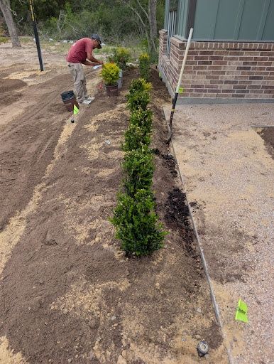 All Photos for Brazos Valley Greenscapes in College Station, TX