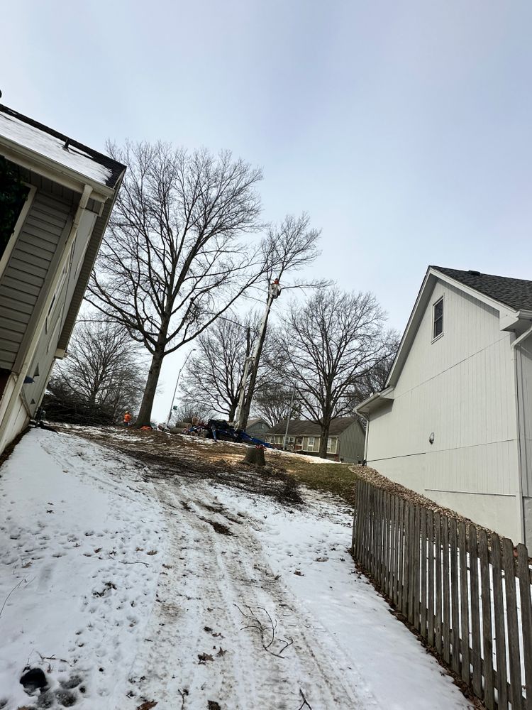 All Photos for Cross Family Tree Service in Kearney, MO