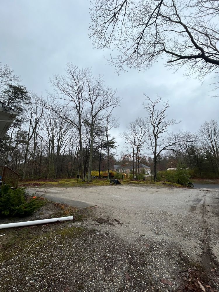 All Photos for Hingewood Tree Service in Salem, NJ