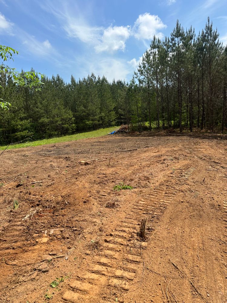 All Photos for A.P Land Management in Atlanta, Ga