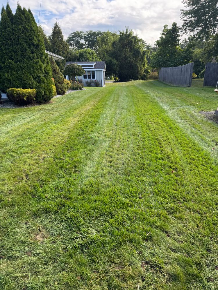 All Photos for Adams Landscaping in Springfield, MA