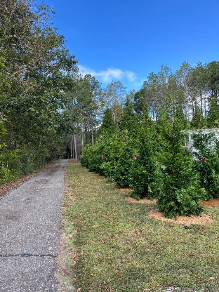 All Photos for Atlas Home Services in Mechanicsville, VA