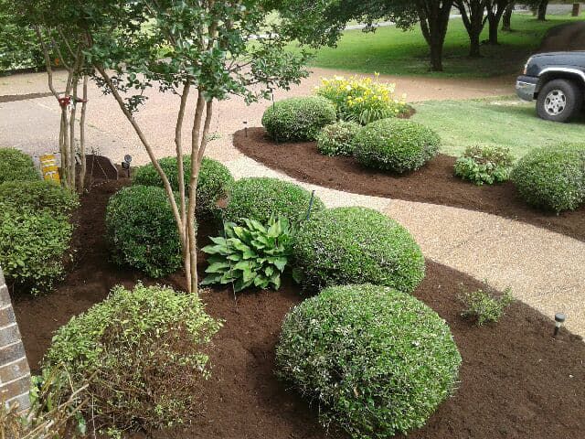 Lawn Care for Freedom Works Lawnscaping in Dyer County, Tennessee