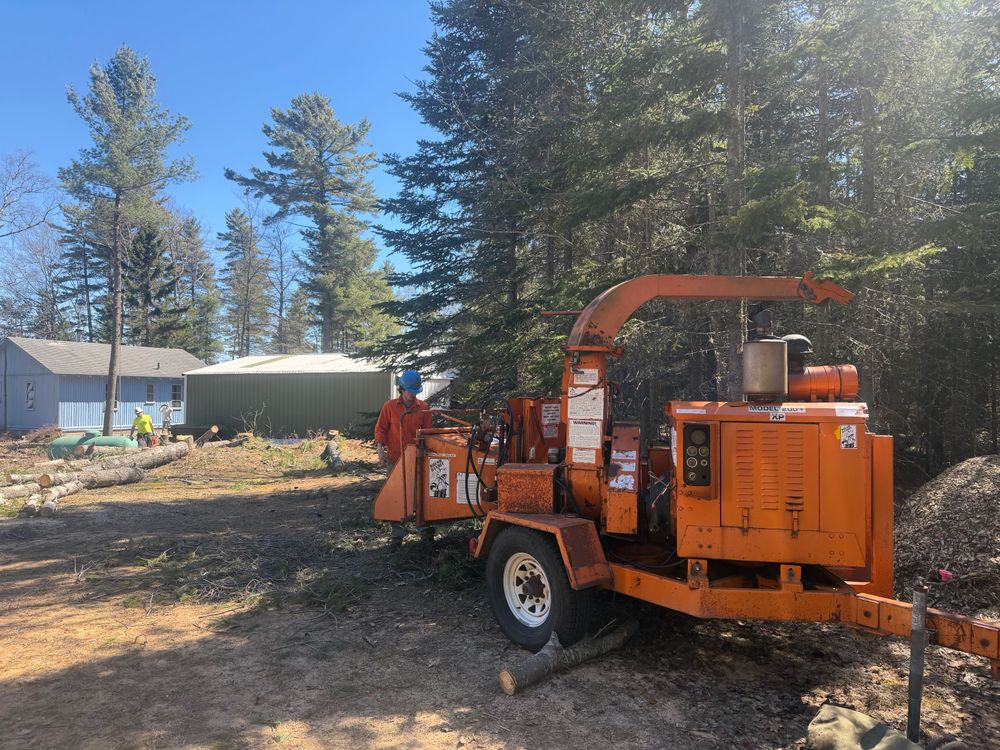 All Photos for J&Q Tree Service in Paradise, MI