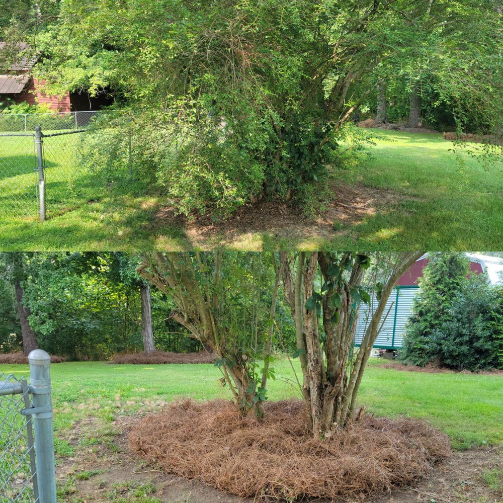 All Photos for Piedmont Lawn and Landscaping in Lexington, NC
