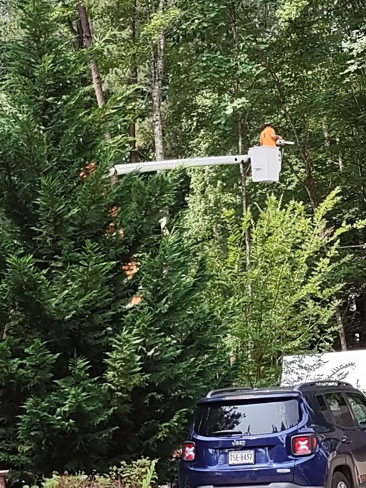 All Photos for Country Cutters Tree Service in Prince George, VA