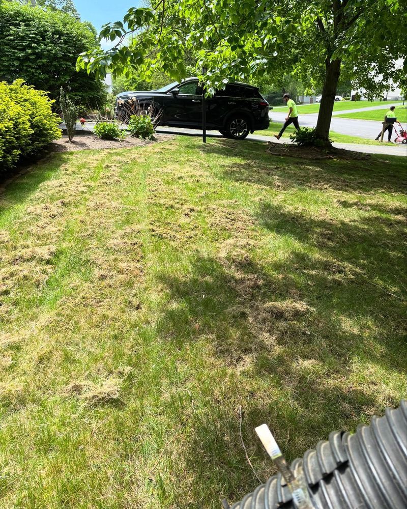 All Photos for Bumblebee Lawn Care LLC in Albany, New York