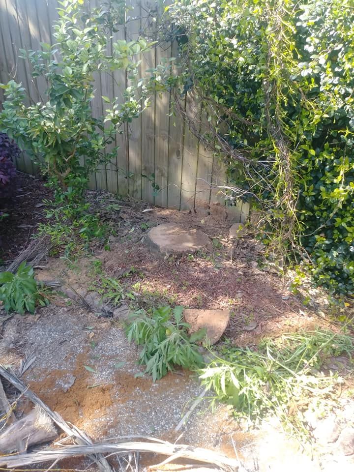 Enhance your landscape's beauty with our expert stump removal service, ensuring safety and a clean appearance, ready for any season. Contact us today to prepare for easy snow removal this winter. for Mitchell Maintenance in Dickinson, TX