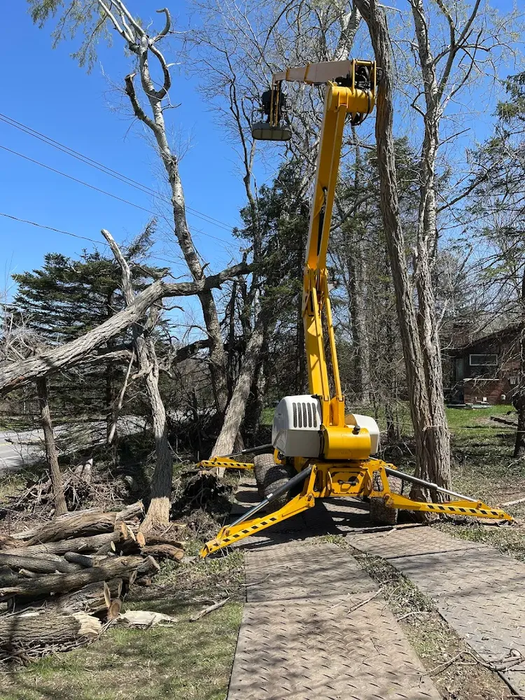 Tree Services for Mays Tree and Stump Removal in Alden, NY