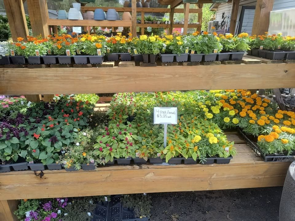 All Photos for Starnes Hardscapes & Property Management LLC in Dunlap, TN