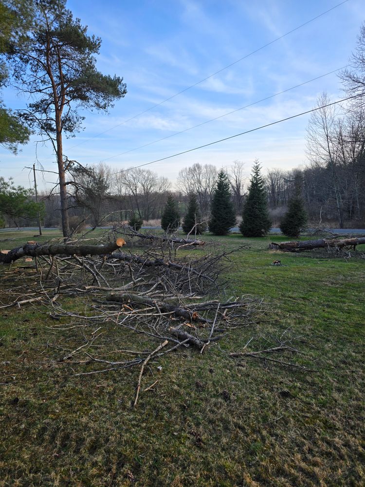 All Photos for Down Home Landscaping in Stillwater, PA