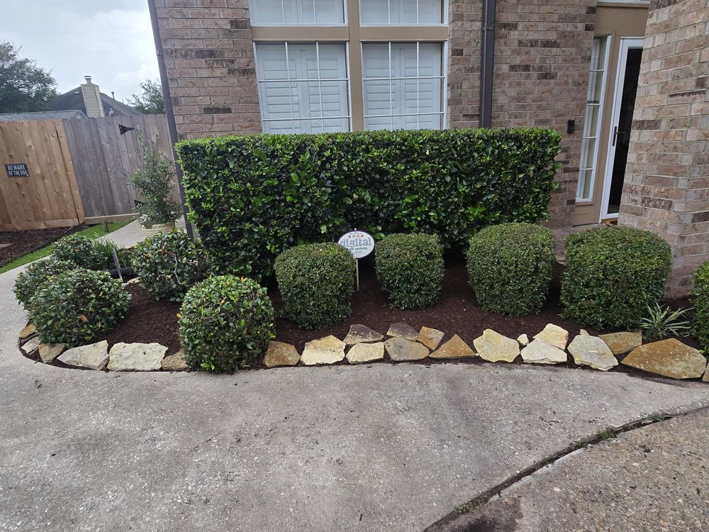 All Photos for Bonita Bay Lawn Maintenance LLC in La Porte, TX