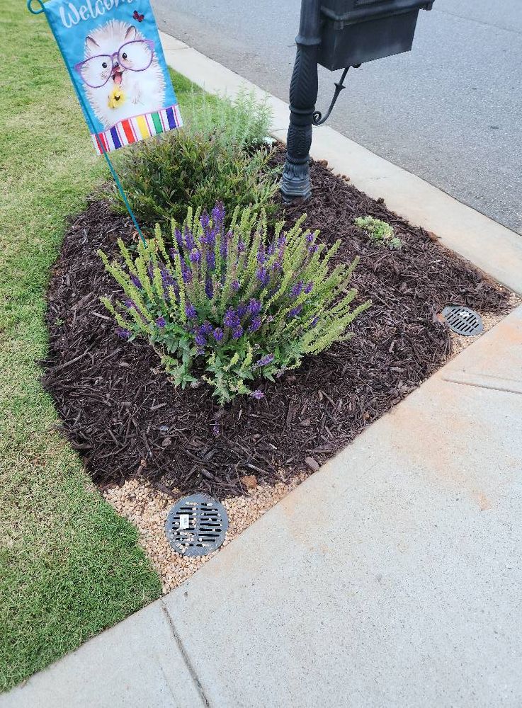 All Photos for Upstate Lawncare Maintenance in Easley, SC