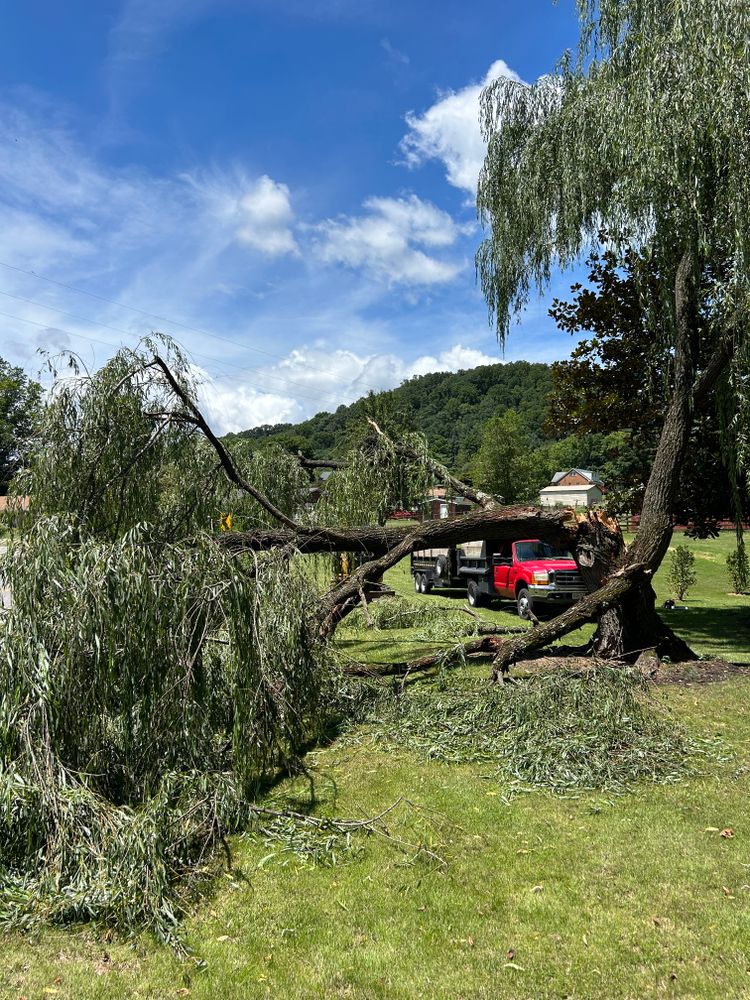 Tree Removal for NRV Tree Pro, LLC in Narrows, VA