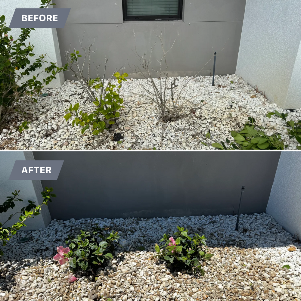 All Photos for BH Lawn & Landscape in LaBelle, FL