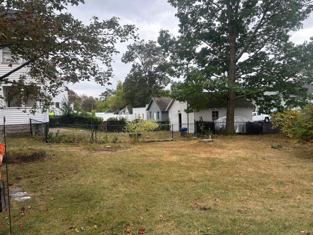 All Photos for T's Trees in Albany, NY