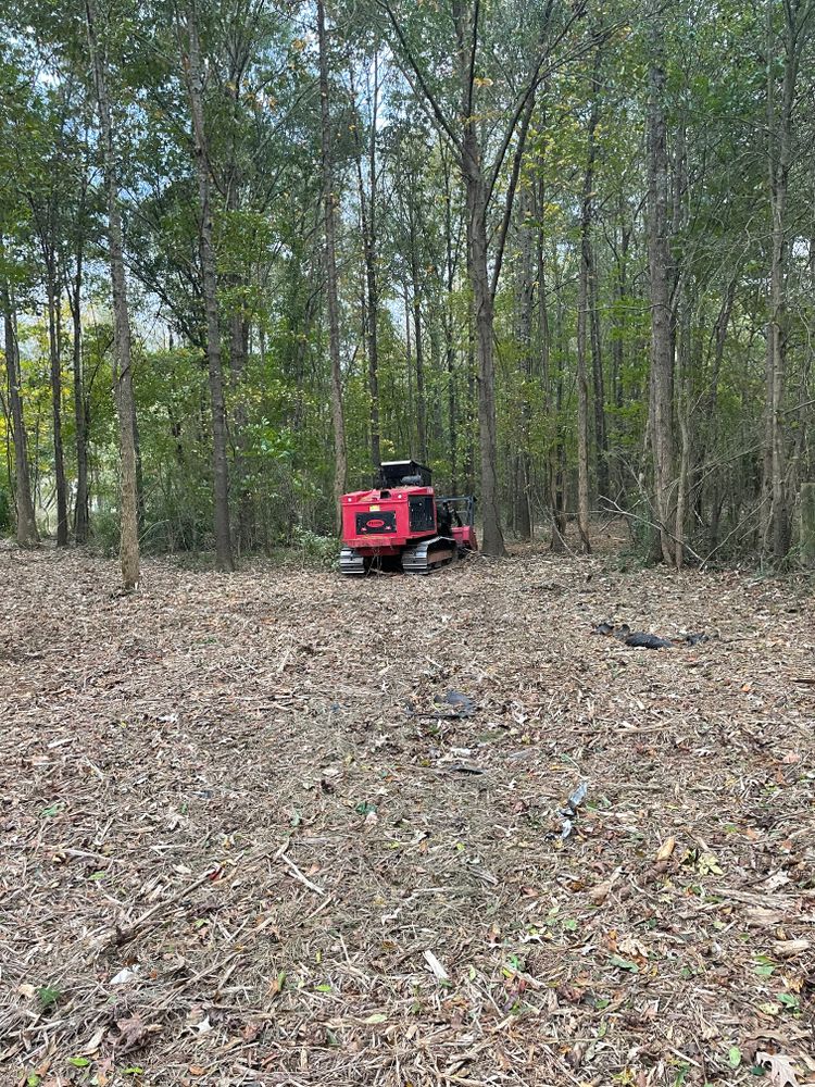 Our Forestry Mulching service efficiently clears overgrown land, turning unwanted vegetation into beneficial mulch. Ideal for site preparation and landscape enhancement, it promotes healthy soil while minimizing environmental impact. for JUSTIN JACQUES LLC DBA DOUBLE J EXCAVATION in Nashville, AR