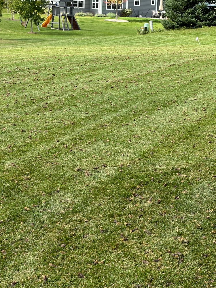 All Photos for Paradise Lawnscapes in West Bend, WI