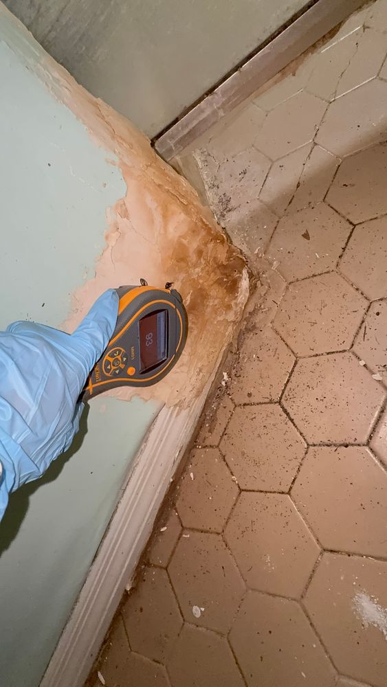 All Photos for N&D Restoration Services When Disaster Attacks, We Come In in Cape Coral,  FL