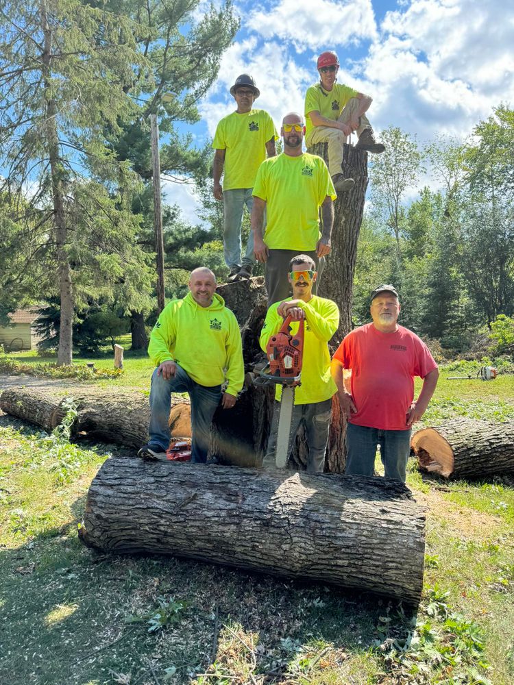 Allstate Tree Service team in Fridley, MN - people or person