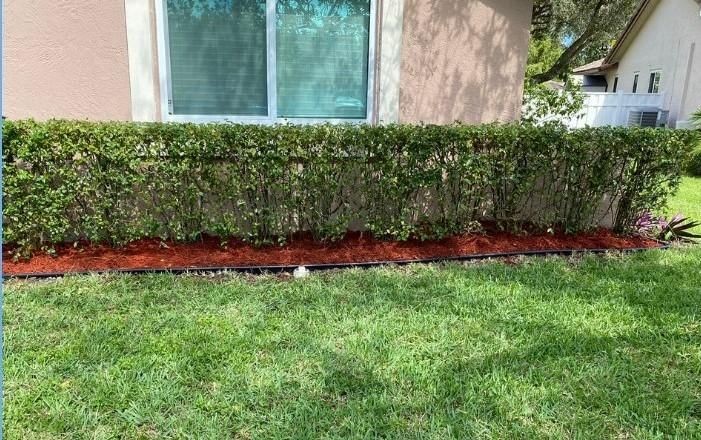 All Photos for A.C.'s Landscape and Lawn Maintenance in   Coral Springs, FL