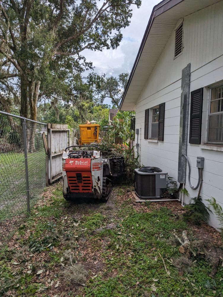 All Photos for Regal Tree Service and Stump Grinding in Wauchula, FL