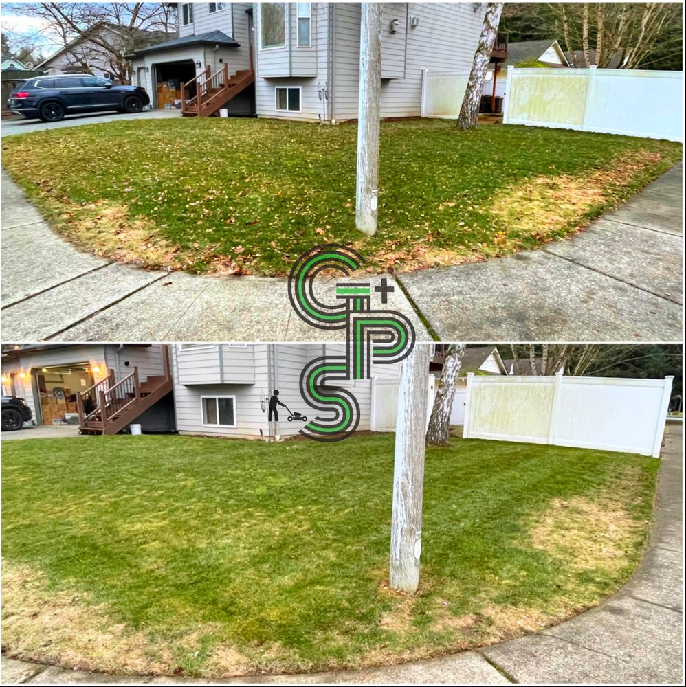 Lawn Care for Golovin Property Services LLC in Marysville, WA