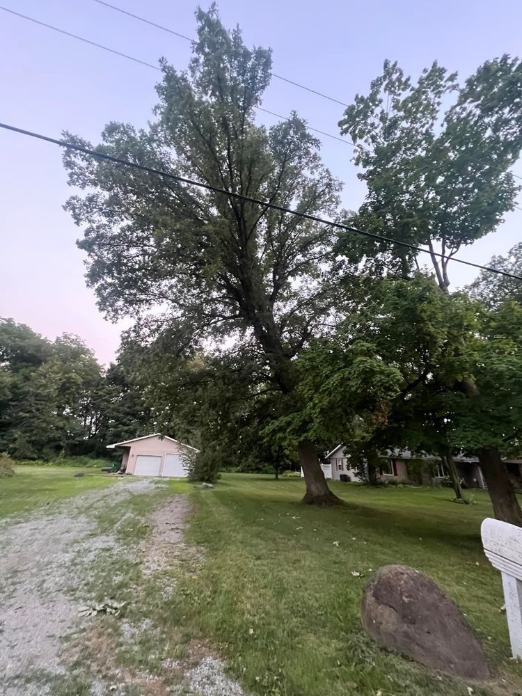 Tree Removal for Hunnicutt’s Tree Service L.L.C. in Monticello, IN