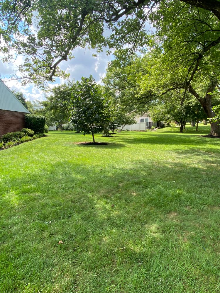Lawn Mowing for Castle JR Landscaping & Painting LLC in Cincinnati, OH