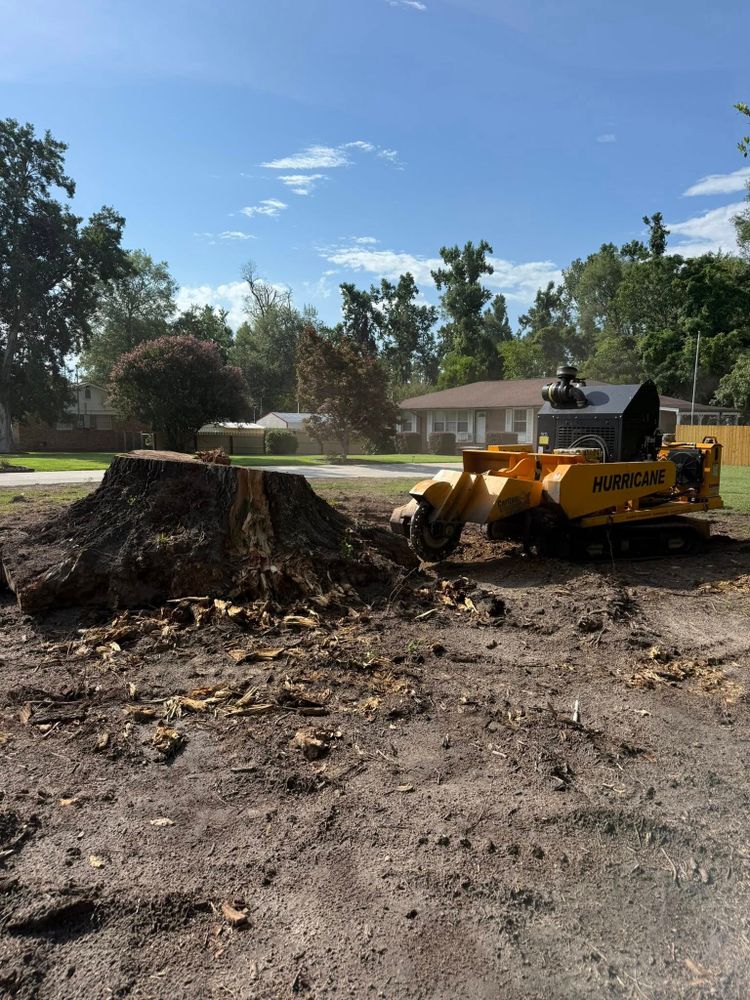 All Photos for Dozier Stump Grinding in Augusta, GA