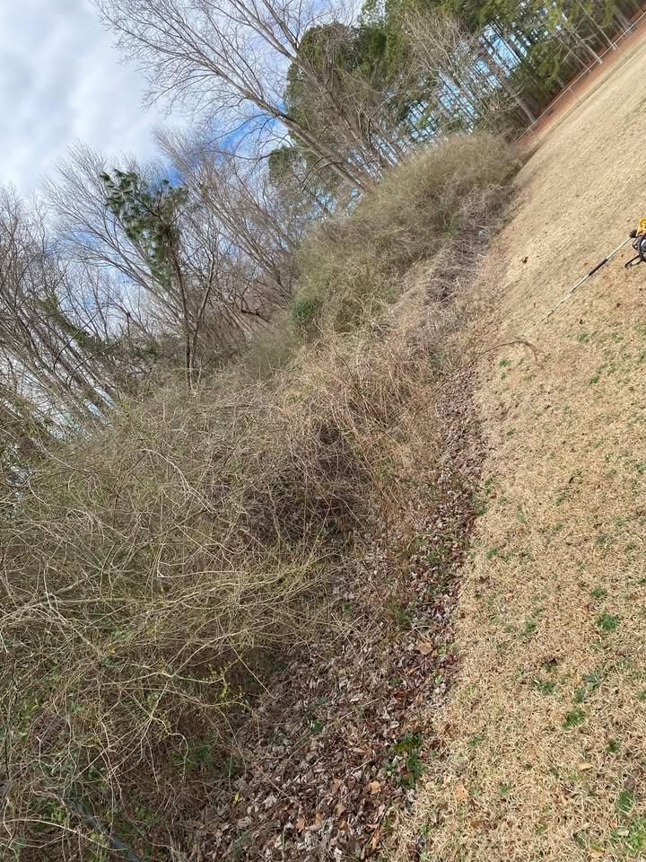 All Photos for Superior Lawn Solution in Coats, NC