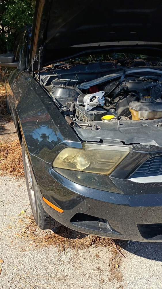 All Photos for Capula's Mobile Mechanic in Lakeland, FL