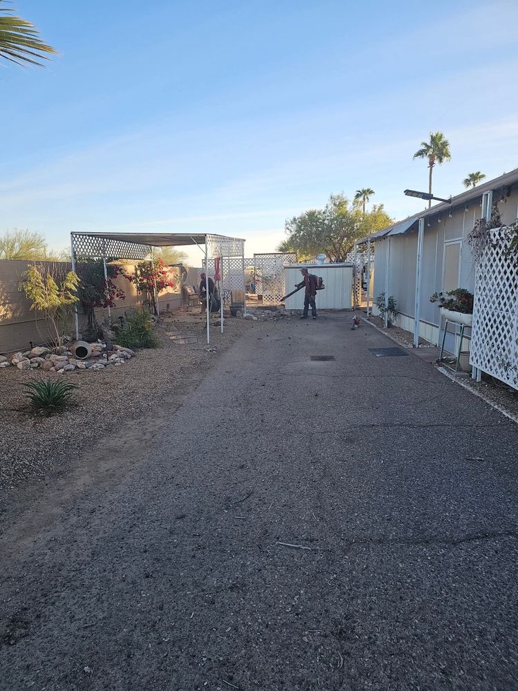 All Photos for T's Tree Service and Firewood in Apache Junction, AZ