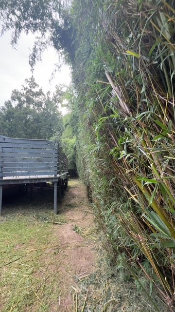 All Photos for Hawkins Tree Service & Land Management in Richmond Hill, GA