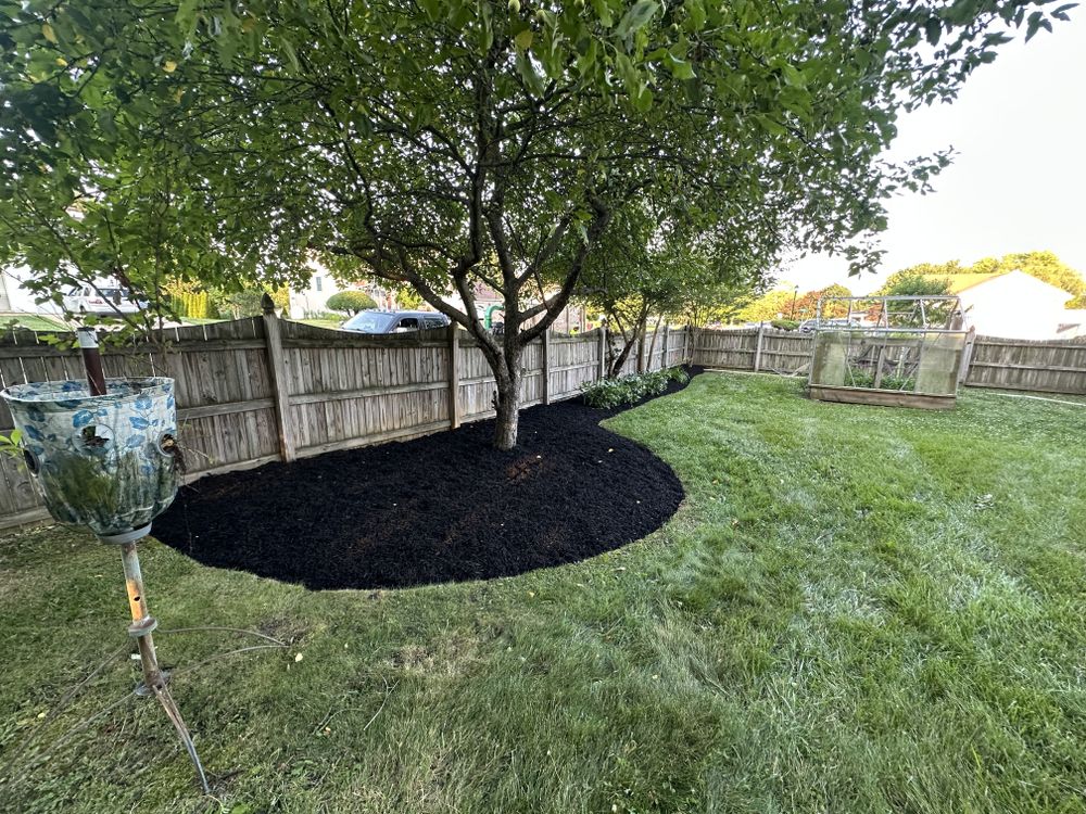 All Photos for A Better Lawn Service LLC in Bel Air, MD