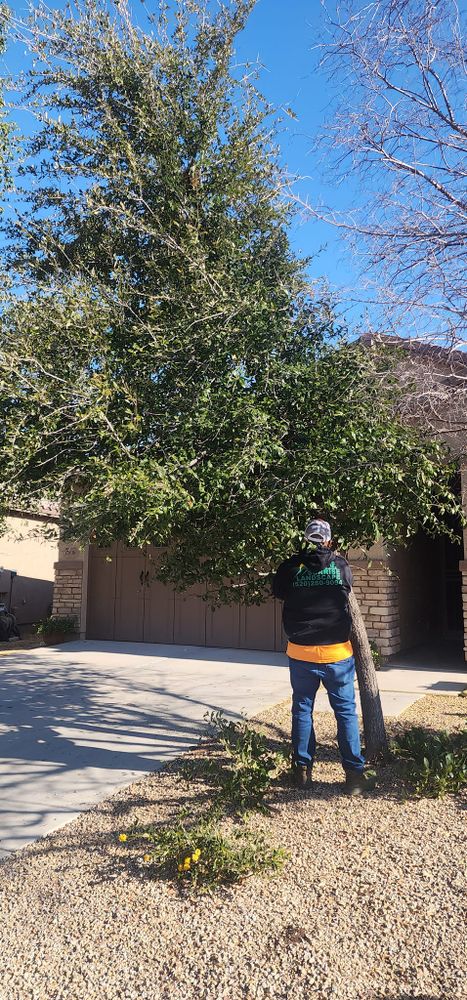 Landscaping for Sunrise Landscape in Maricopa, AZ