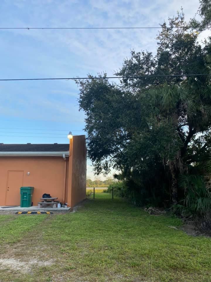 Tree Removal for Alpha Trees Service and Property Management in Port Charlotte, FL