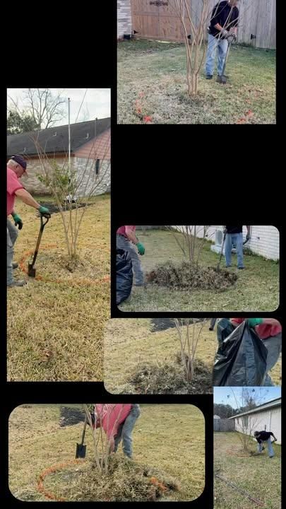 All Photos for Texas Curb N Borders in Houston, TX