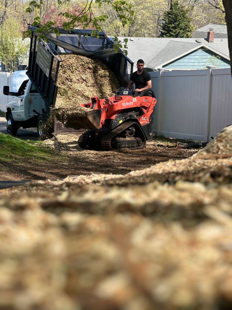 Landscape & Bed Design for Ace Landscaping in Trumbull, CT